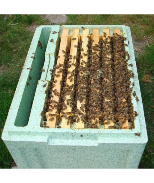 Nucleus of Bees (deposit) Nucleus of Bees (deposit)